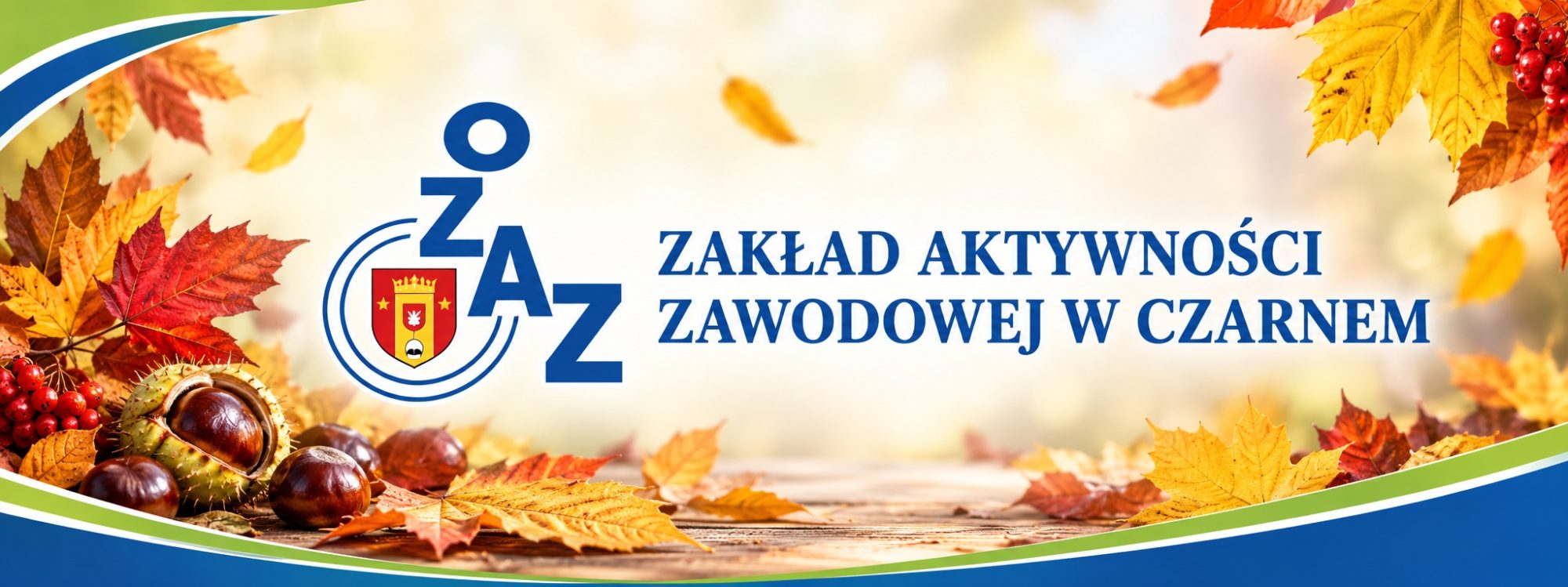 Zakład Aktywności Zawodowej w Czarnem